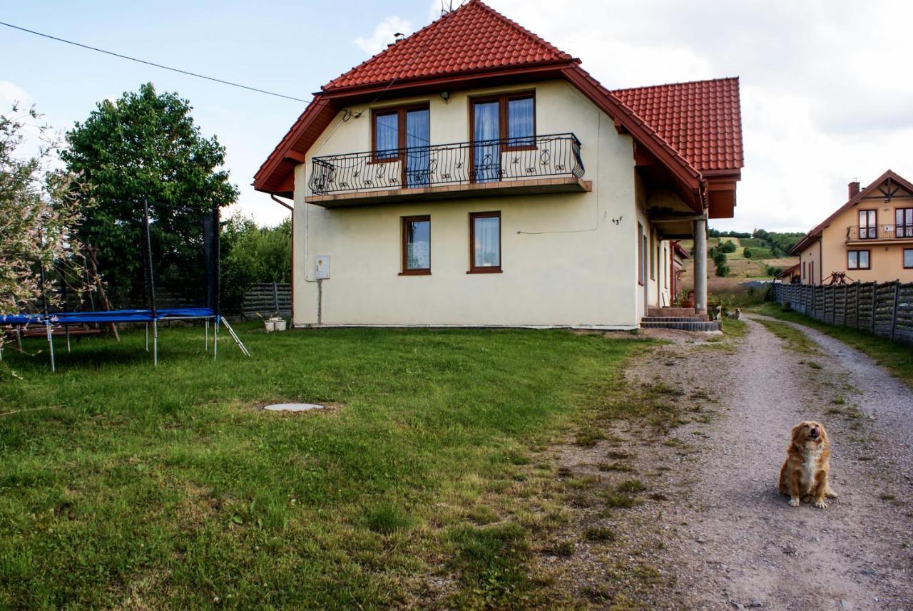 Agroturystyka U Aleksa Krajno-Zagorze Exterior photo